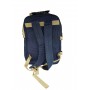 Пикниковый набор-рюкзак "CHANODUG" на 4 персоны, цвет: синий